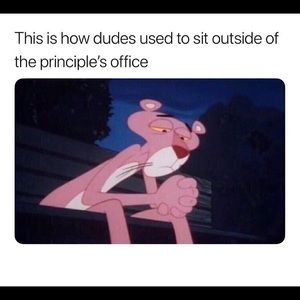 Meet your Posher, Dillon